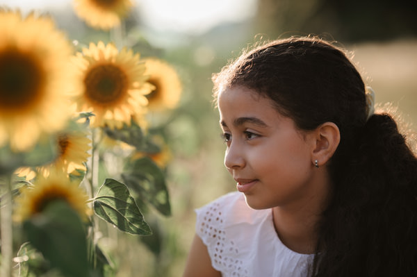 Photos dans les tournesols près de Strasbourg